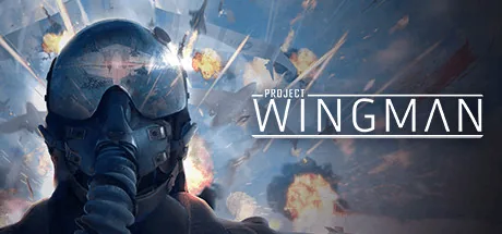 Project Wingman PC Trainer cover