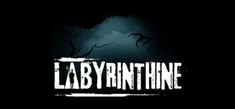 Labyrinthine PC eğiticisi kapağı