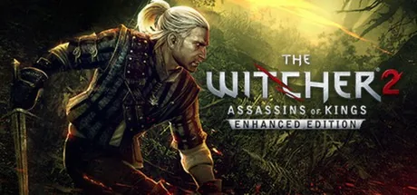 Обложка трейнера для The Witcher 2 - Assassins of Kings на ПК