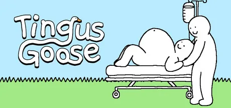 Tingus Goose PC eğiticisi kapağı