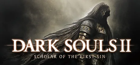Dark Souls 2 - Scholar of the First Sin PC 修改器封面图
